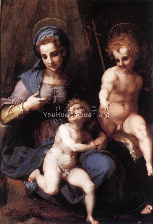 Madonna and Child with the Young St John - 安德烈·德尔·萨托